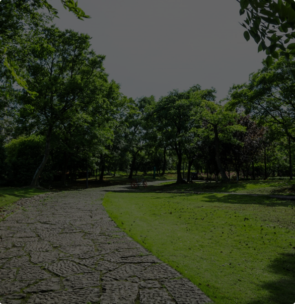 Garden Image