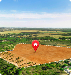 Plot Image
