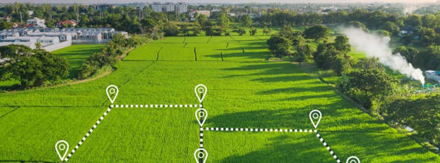 Plot Image