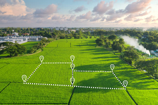 Plot Image
