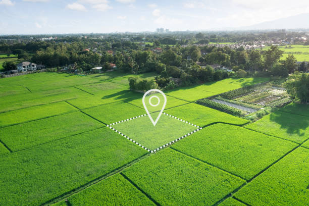 Plot Image